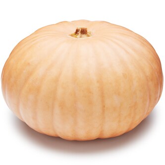 Wells Homestead Acres Local Cheese Pumpkin