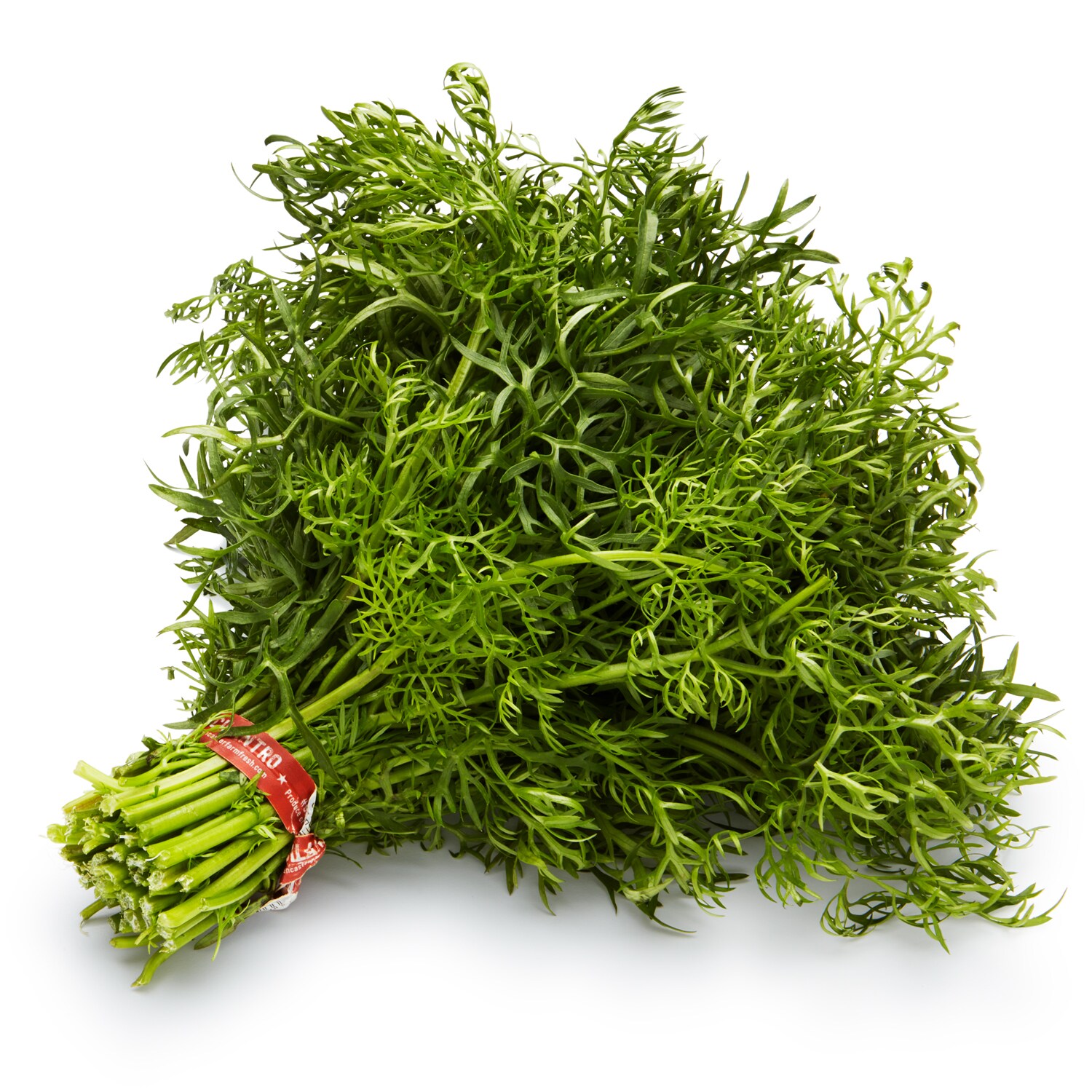 Lancaster Farm Fresh Cooperative Local Organic Delfino Cilantro