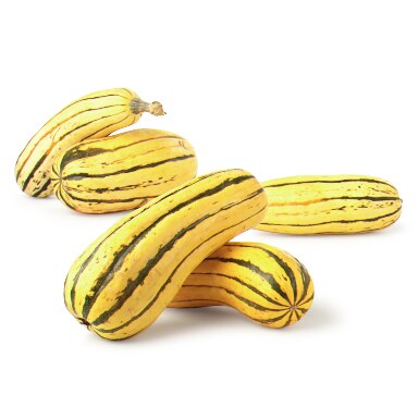 Altobelli Family Farm Local Delicata Squash
