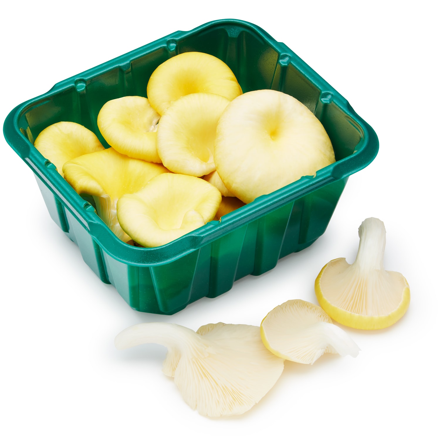 Organic Yellow Oyster Mushrooms, Packaged