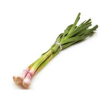 Organic Green Garlic