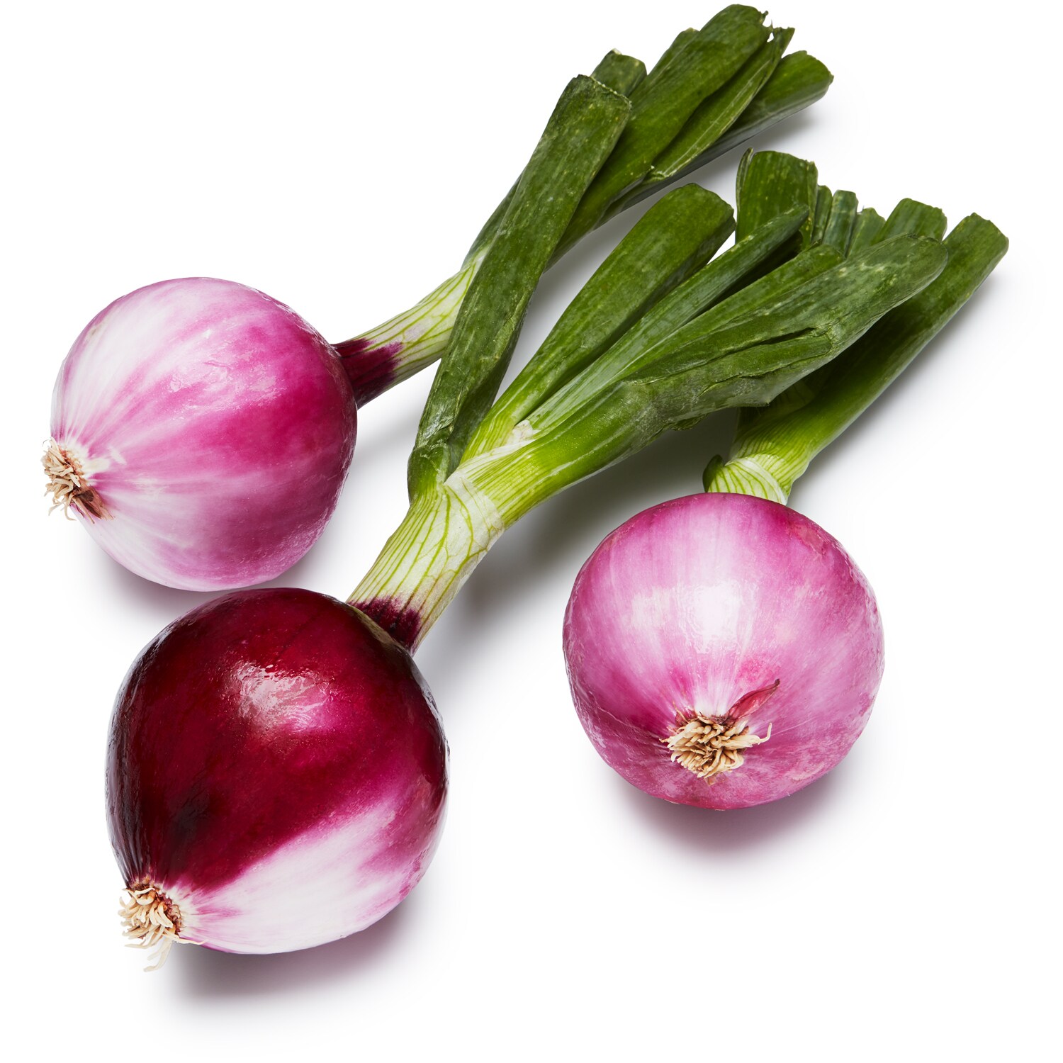 Organic Red Spring Onion