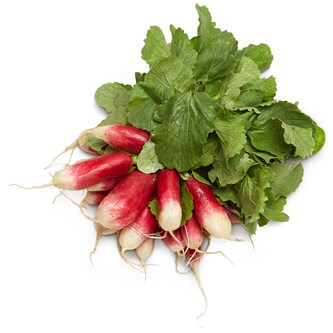 Organic French Breakfast Radish