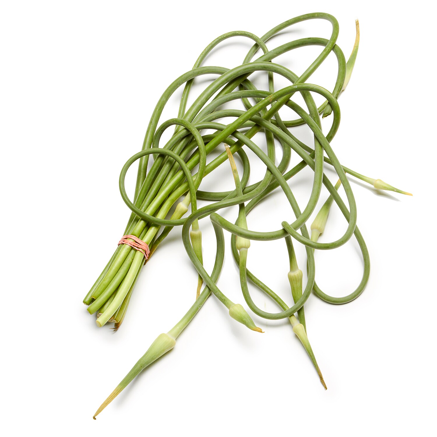 Grown on Long Island Garlic Scape