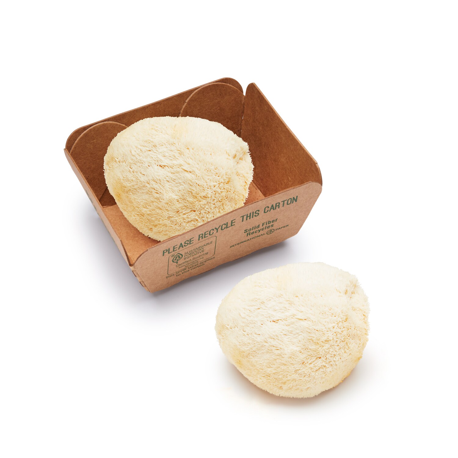 Mushroom King Organic Lion's Mane Mushrooms 