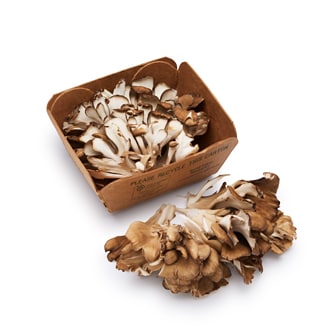 Mushroom King Organic Maitake Mushrooms