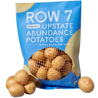 Row 7 Upstate Abundance Potato