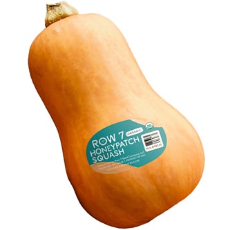 Row 7 Honeypatch Squash