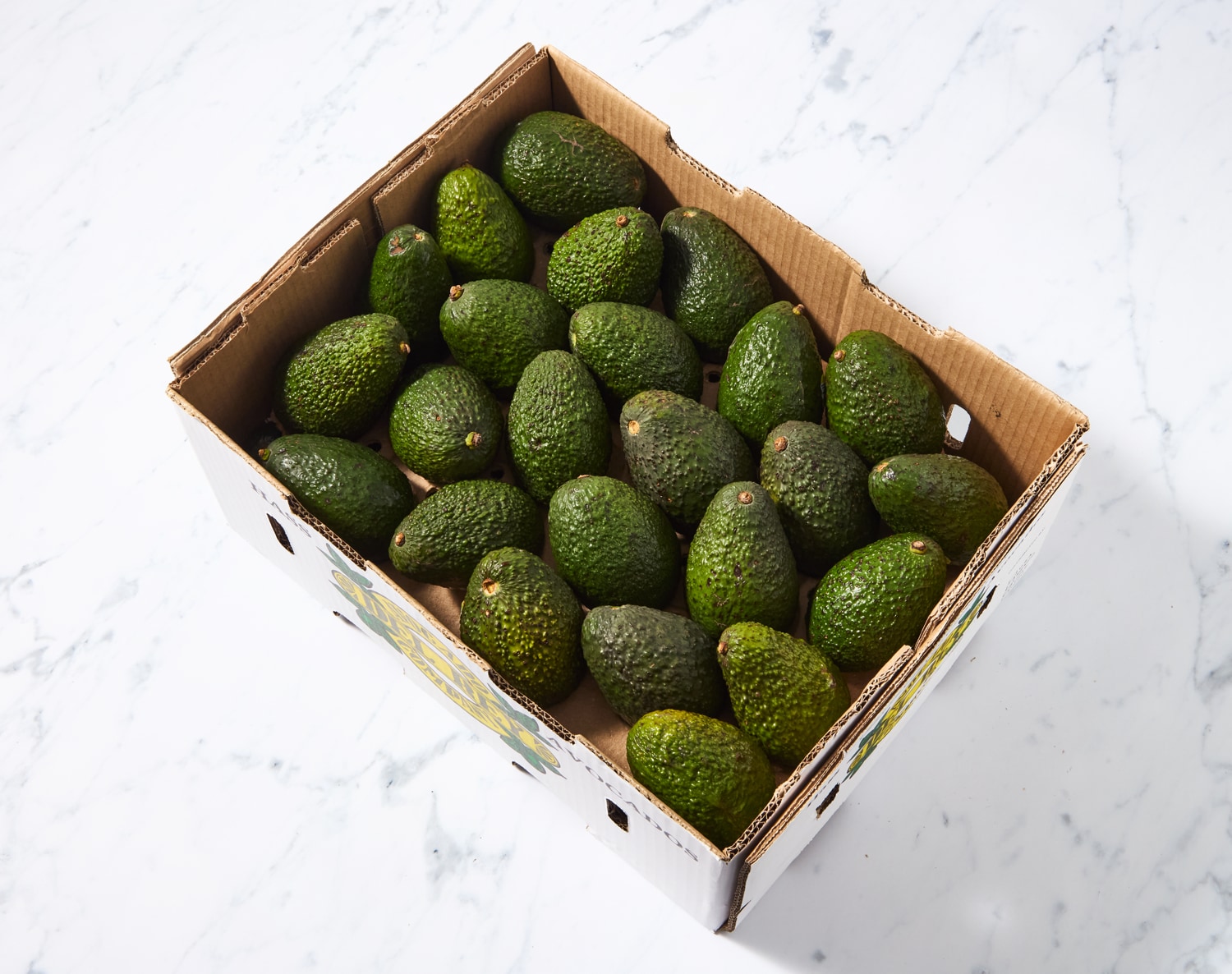 Hass Avocado, Case