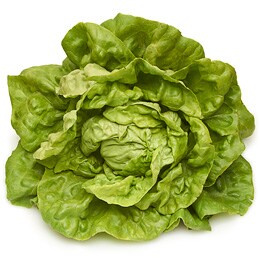 Deer Run Farms Boston Lettuce