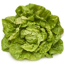 Deer Run Farms Boston Lettuce