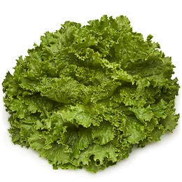 Deer Run Farms Green Leaf Lettuce