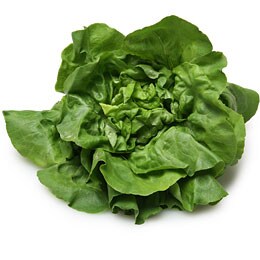 Organic Boston Lettuce