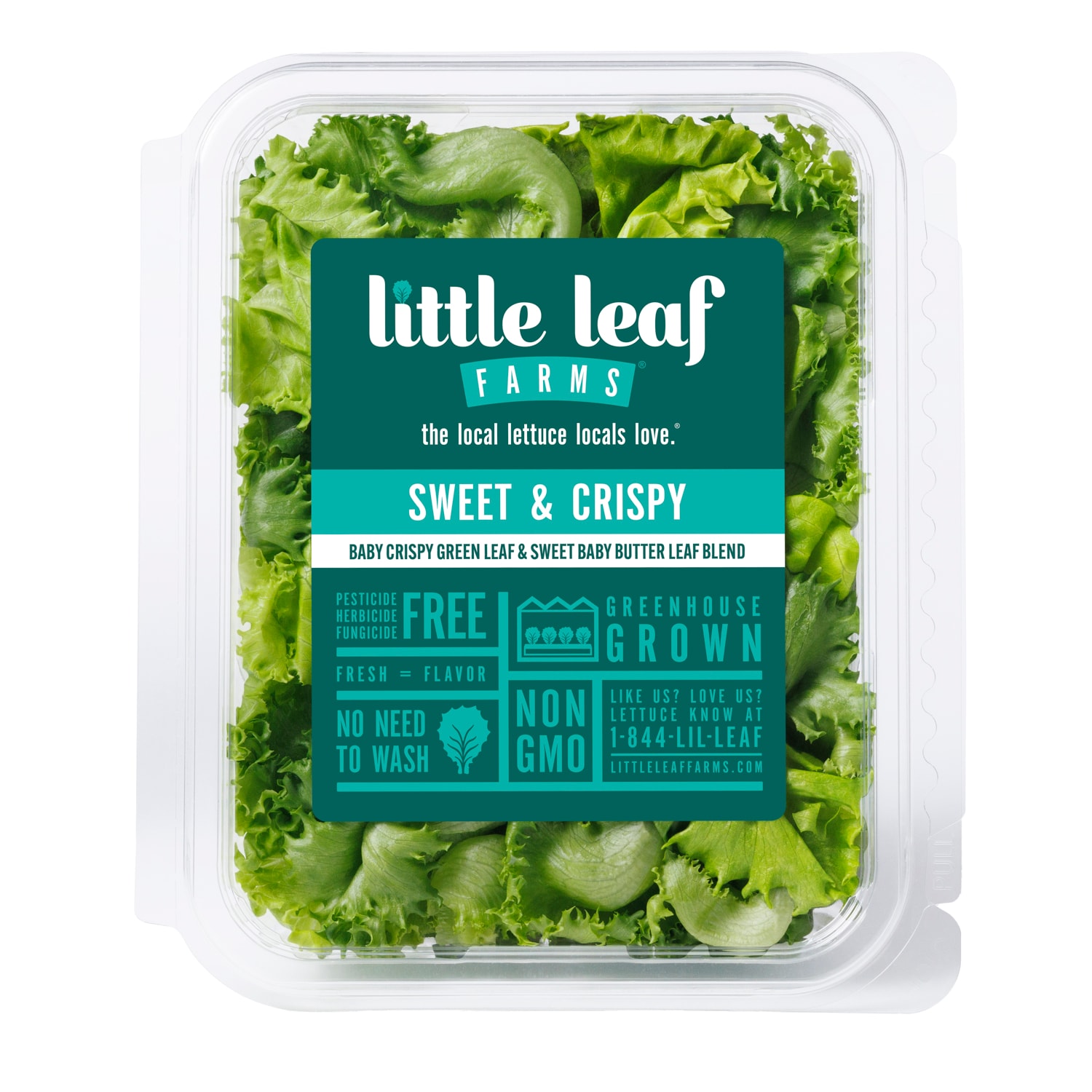 Little Leaf Farms Sweet & Crispy