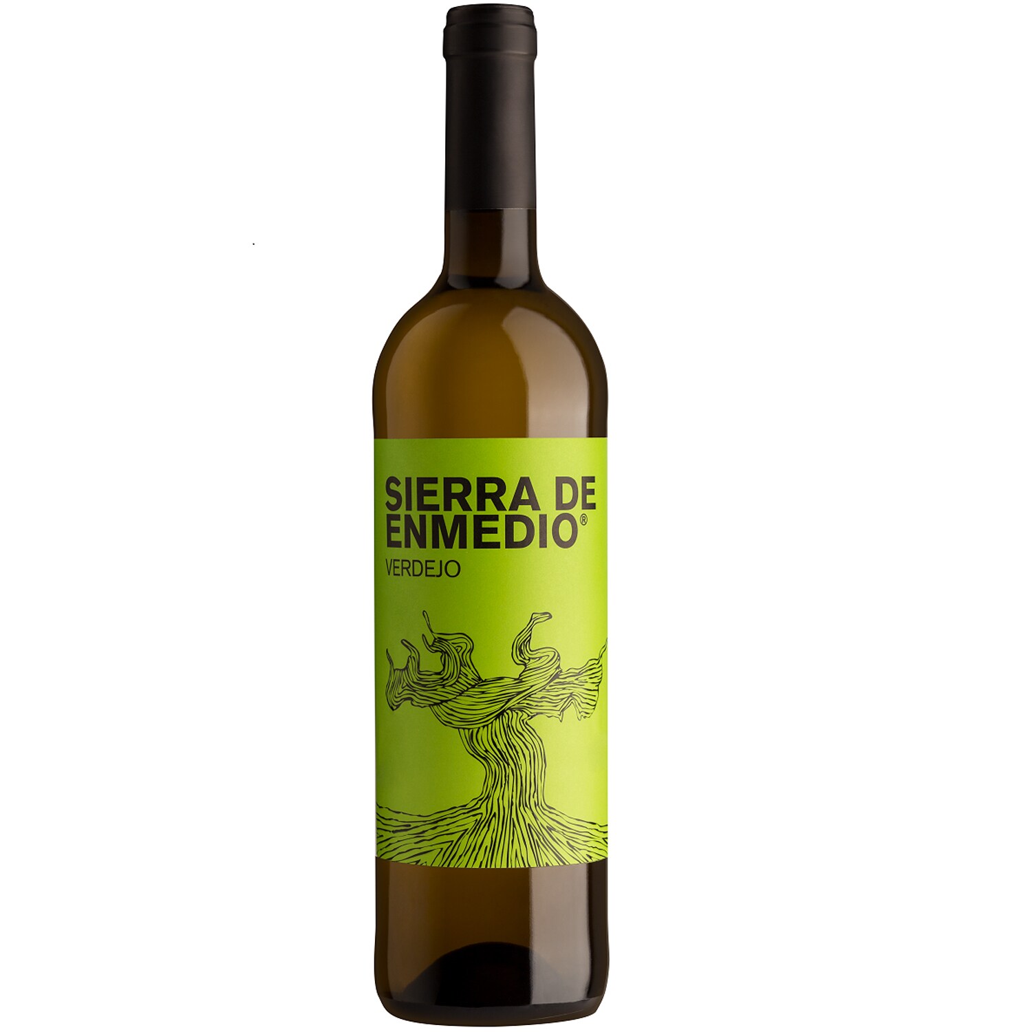 Sierra De Enmedio Verdejo