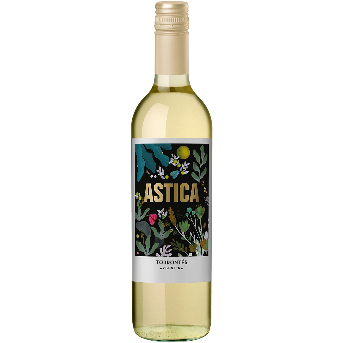 Astica Torrontés
