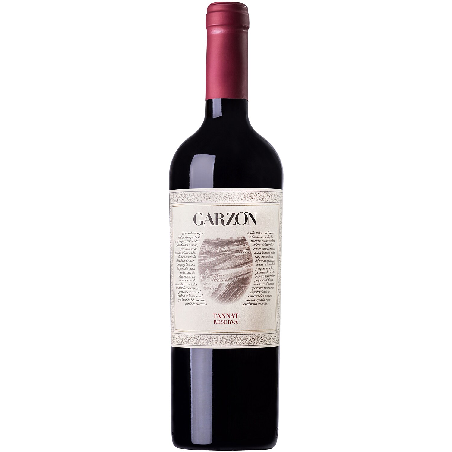 Bodegas Garzón Tannat Reserva