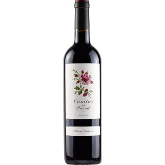 Alvaro Palacios Camins del Priorat